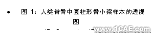 文本框: •	图 1:人类脊骨中圆柱形骨小梁样本的透视图  (Ø= 8 mm , L= 15 mm)  