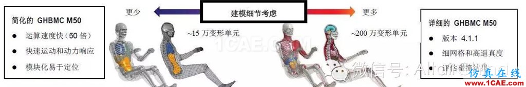 维克弗里斯特大学基于HyperWorks开发车辆碰撞仿真的人体模型hypermesh分析案例图片3