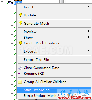 blob.png ANSYS Workbench Meshing网格录制Start Recording的方法说明ansys图片5