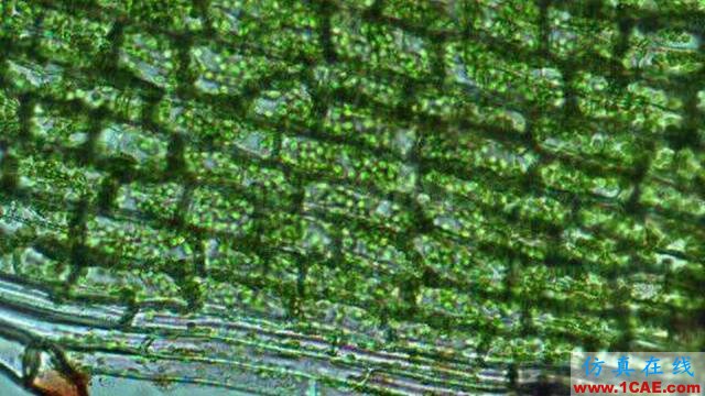 【资讯】强势围观!Science公布的125个科学前沿问题!图片104