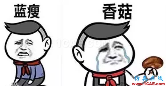 什么？软件不会！蓝瘦、香菇！快来MIDAS学习啦！~MIDAS 2016 新疆桥梁技术交流会Midas Civil分析案例图片2