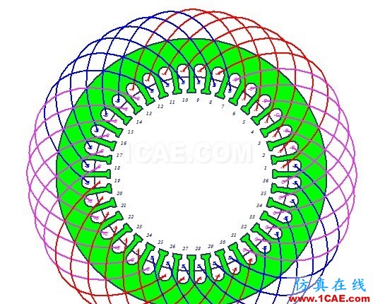 关于Ansoft Rmxprt中whole coiled和half coiled的说明 关于Ansoft Rmxprt中whole coiled和half coiled的说明