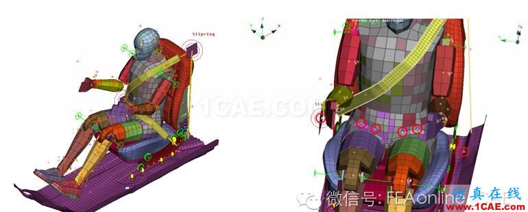 ANSA for LS-DYNA面板下建立安全带ANSA分析案例图片6